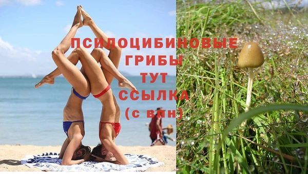 каннабис Алексин