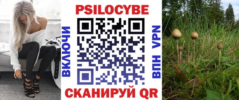 Галлюциногенные грибы Psilocybine cubensis цены Нягань
